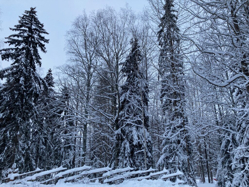 NO ONKOS TULLUT TALVI